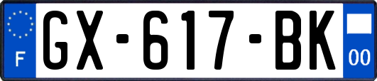GX-617-BK