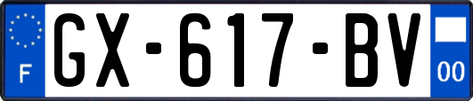 GX-617-BV