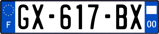 GX-617-BX