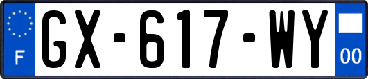 GX-617-WY