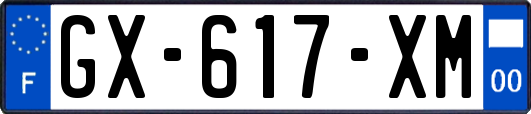 GX-617-XM