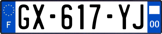 GX-617-YJ
