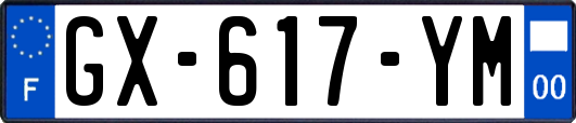 GX-617-YM