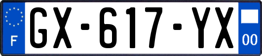 GX-617-YX