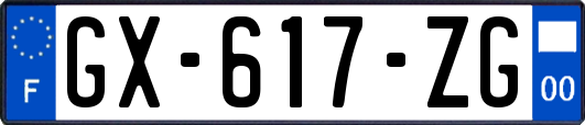 GX-617-ZG