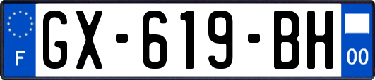 GX-619-BH