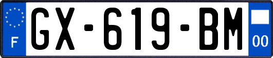 GX-619-BM