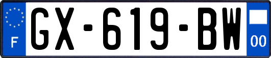 GX-619-BW