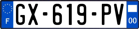 GX-619-PV