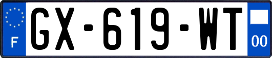 GX-619-WT