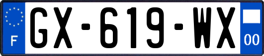 GX-619-WX