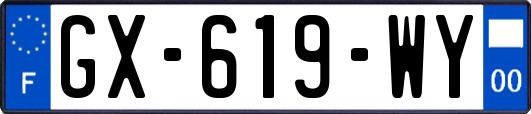 GX-619-WY