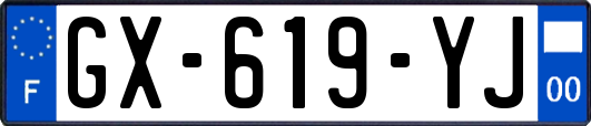 GX-619-YJ