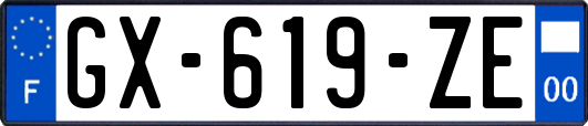 GX-619-ZE