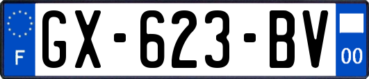GX-623-BV