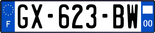 GX-623-BW