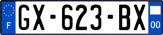 GX-623-BX