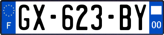 GX-623-BY