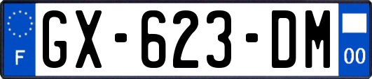 GX-623-DM