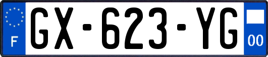 GX-623-YG