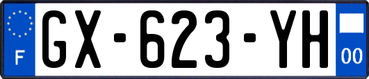 GX-623-YH