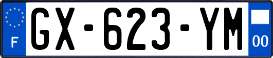 GX-623-YM