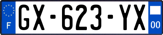 GX-623-YX
