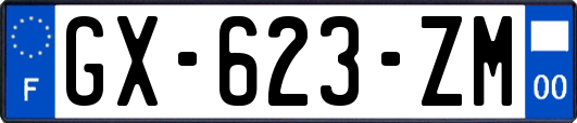 GX-623-ZM