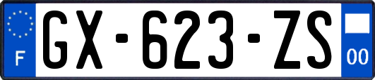 GX-623-ZS