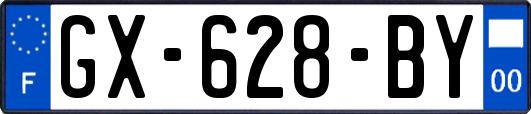 GX-628-BY