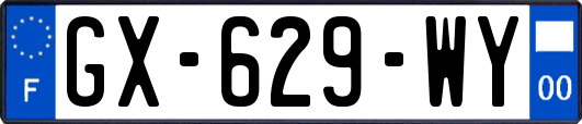 GX-629-WY