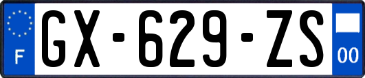 GX-629-ZS