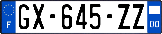 GX-645-ZZ