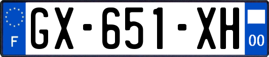 GX-651-XH
