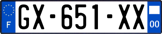 GX-651-XX