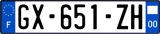 GX-651-ZH