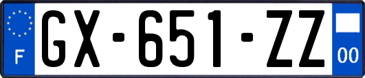 GX-651-ZZ