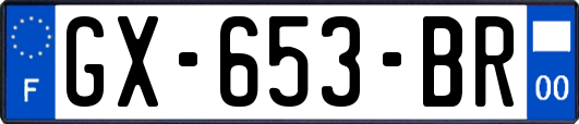 GX-653-BR
