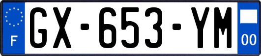 GX-653-YM