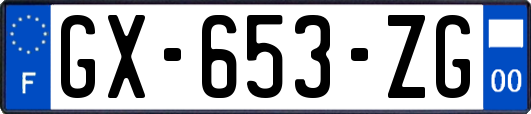 GX-653-ZG