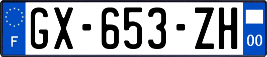 GX-653-ZH