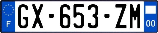 GX-653-ZM