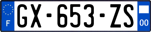 GX-653-ZS