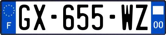 GX-655-WZ