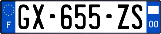 GX-655-ZS