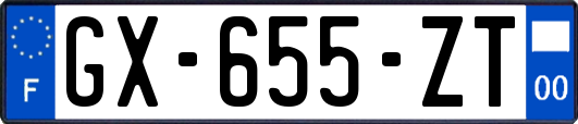 GX-655-ZT