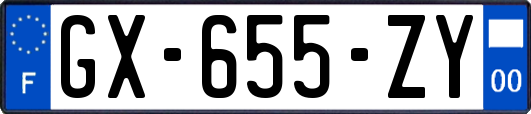 GX-655-ZY