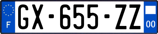 GX-655-ZZ