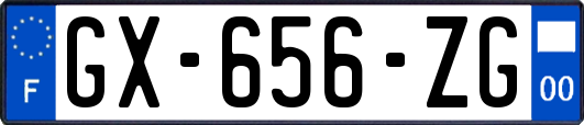 GX-656-ZG
