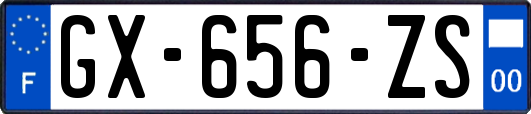 GX-656-ZS